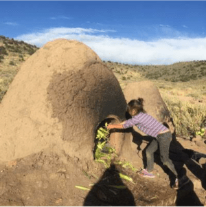 Local farmers in Costilla County are known for their adobe oven-roasted white flint corn (maíz de concho) which are called ‘chicos’ when prepared this way. Slow Food USA includes chicos in the Ark of Taste. Photo by Devon G. Peña