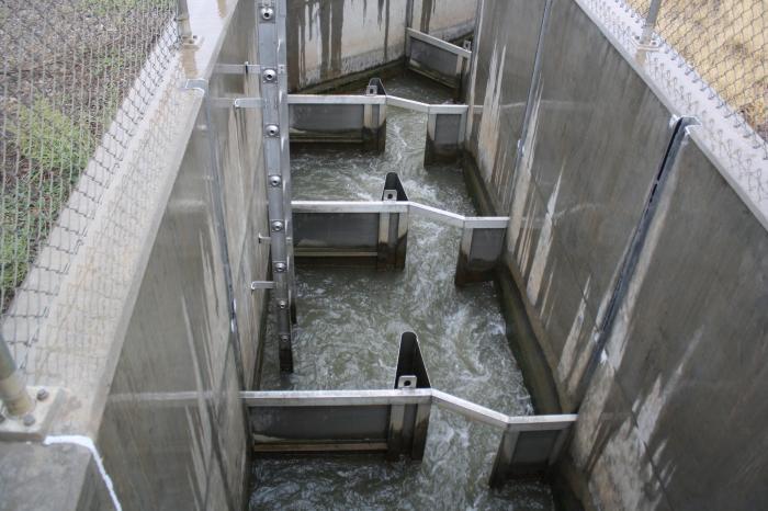 Fish ladder at the Redlands diversion dam via KVNF