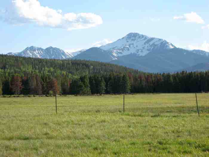The meadow along the Fraser River, about 70 miles northwest of Denver, with Byers Peak in the background. 2007photo/Allen Best - 