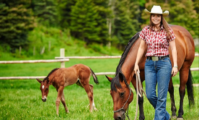 Kerry Donovan from her State Senate website