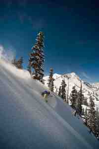 Fresh turns in Utah’s Wasatch Range. Photo/Chris Pearson of Ski Utah  via The Mountain Town News