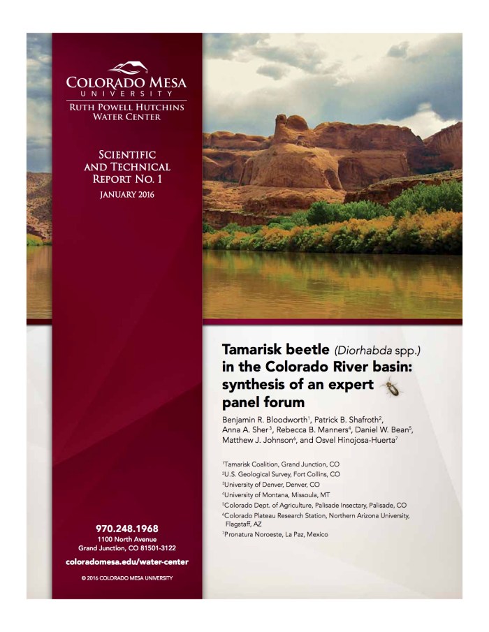 tamariskbeetlestudyreport