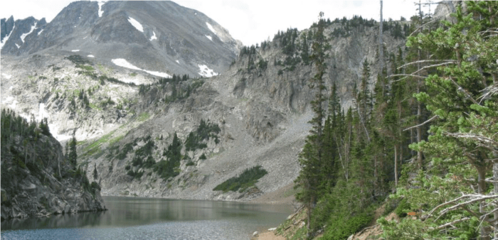 Photo via Colorado State University