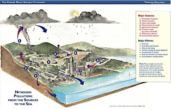 Nitrogen illustration via the Hubbard Foundation.