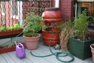 Photo from the Colorado Independent.