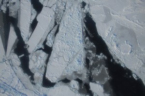 This photograph from a March 27, 2015 NASA IceBridge flight shows a mixture of deformed, snow-covered, first-year sea ice floes, interspersed by open-water leads, brash ice and thin, snow-free nilas and young sea ice over the East Beaufort Sea. Nilas are thin sheets of smooth, level ice less than 10 centimeters (4 inches) thick and appear darkest when thin. Credit: NASA/Operation Ice Bridge.