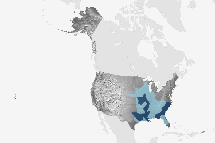 U.S. regions at risk for minor (light blue) and moderate (dark blue) flooding from April-June 2016. Large version shows Alaska, Hawaii, and Puerto Rico. NOAA Climate.gov map, based on NWS forecast.