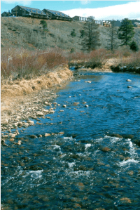 Fish in the Fraser River have struggled because there was too little water for the riparian area that had been created by natural flows. Segments have now been mechanically manipulated to be more narrow. Photo/Allen Best.