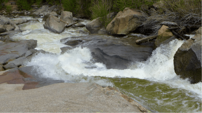 Roaring Fork River, Grottos, on Monday morning June 13, 2016, looking downstream, with diversions into the Twin Lakes Tunnel at over 600 cfs. While impressive at this level, the whitewater frenzy that resulted after the tunnels were closed was far more intense. Photo Brent Gardner-Smith <a href="http://aspenjournalism.org">Aspen Journalism</a>.