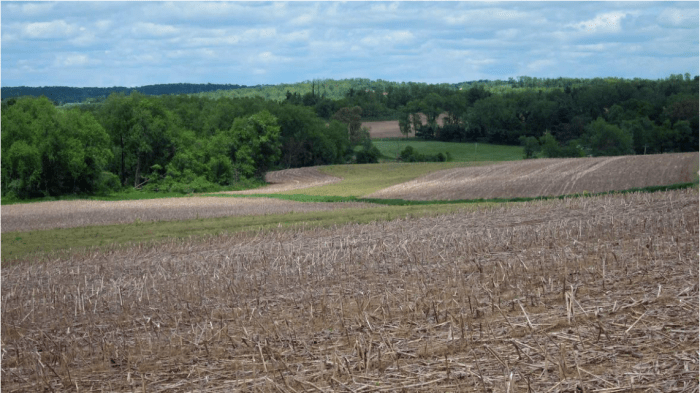 A harvested field in the Upper Mississippi River Basin. Credit: USGS.