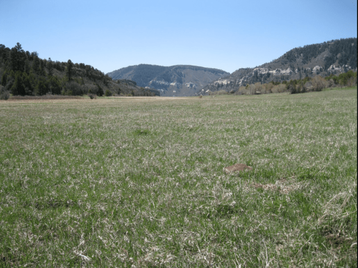 The north part of the valley floor area includes a wetlands area. The interpretive sign at the trail head mentions that the Basketmakers grew corn and squash in addition to hunting deer, rabbits, turkeys, and porcupine, and gathering. Photo via 4CornersHikes.blogspot.com.