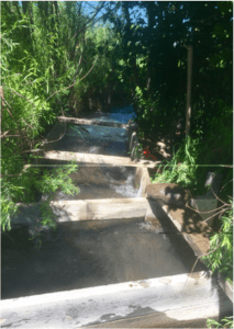 On July 7th, we closed our headgate that takes water from the Little Cimarron for irrigation. The water in the above photo will now bypass our headgate and return to the river. Photo via the Colorado Water Trust.