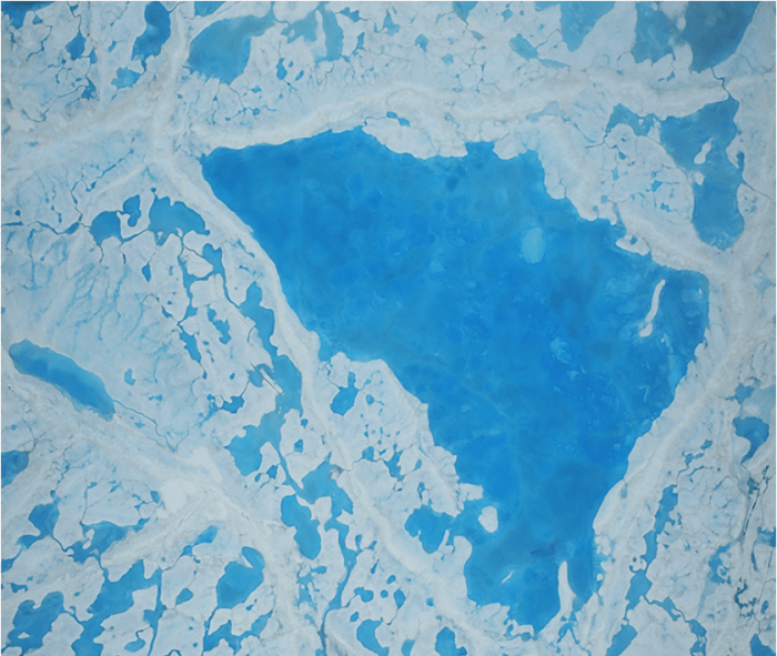 Another pool of melt water over sea ice, as seen from an Operation IceBridge flight over the Beaufort Sea on July 14, 2016. Scientists have found that formation of melt ponds early in the summer reduces the ability of sea ice to reflect solar radiation, which leads to more melt. Credit: NASA/Operation IceBridge.