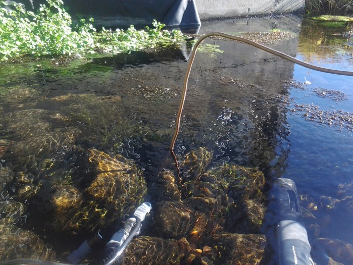 Water quality and sampling equipment deployed at spring site near Roaring Judy, Colorado. Public domain