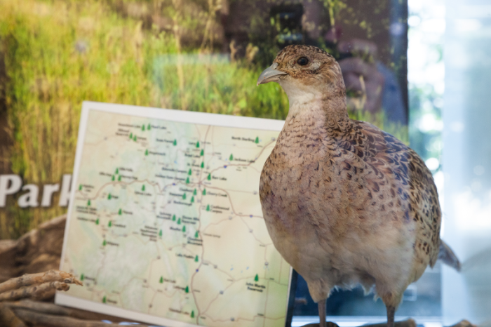 Water Brings Life to Land exhibit July 2016.  Photograph provided courtesy of Denver International Airport.
