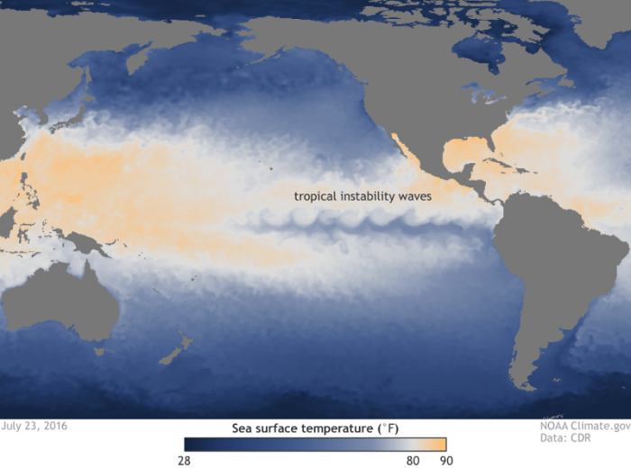 Sea surface temperature on July 23, 2016. The eastern Pacific cold tongue is clearly visible along the Equator, surrounded by warmer waters to the north and south. The wavy features along the northern and southern borders between the cold tongue and the warmer waters are tropical instability waves. The waves on the north side are clearer in part due to the stronger temperature gradient on that side of the cold tongue. Map by NOAA Climate.gov from CDR data.