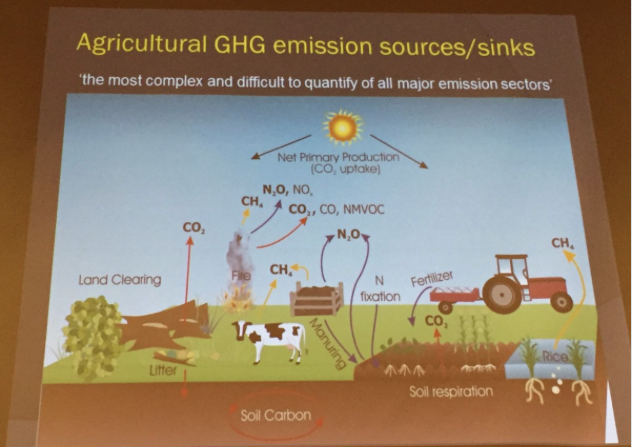 Agricultural GHG emissions/sinks, Keith Paustian, South Platte Forum, October 27, 2016.