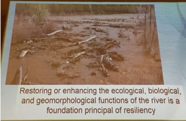 Stream resiliency. Slide via Chris Sturm, South Platte Forum, October 26, 2016.