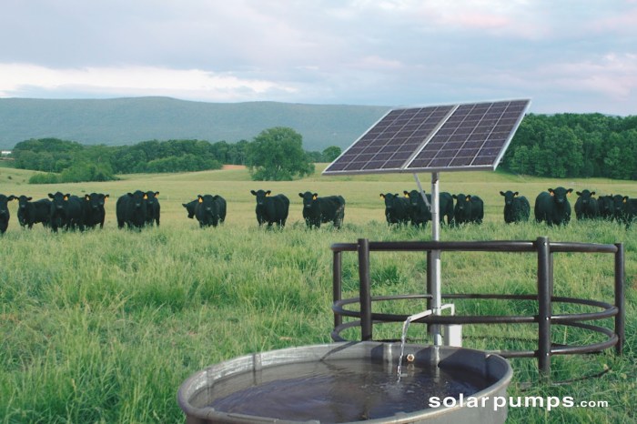 Photo via SolarPumps.com.