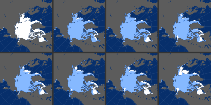Years with sea ice above and below the median are displayed in the grid view. The eight panels show the November extent roughly every five years since 1978, when satellites started monitoring sea ice. Every November is different, as freeze-up is influenced by factors such as water temperature, air temperature, and wind patterns. All three factors played a role in the November 2016 record low.