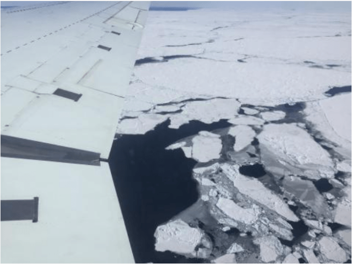 This photograph from NASA Operation IceBridge shows broken floes of sea ice floating in the Weddell Sea. A large area of open water can be seen on the horizon. Credit: J. Beitler/National Snow and Ice Data Center.