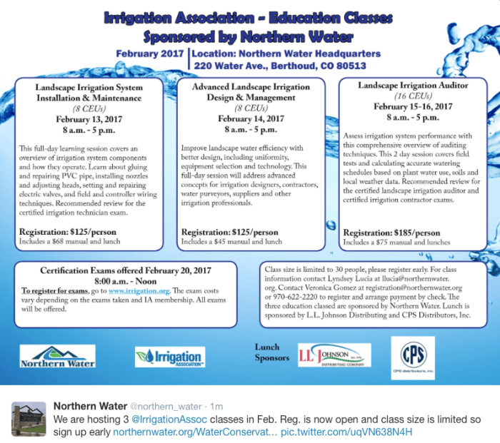 screen-shot-2016-12-20-at-11-12-29-am