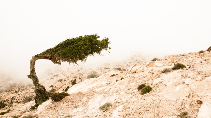 Photo credit Harvard Business Review