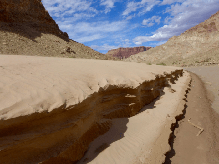 A beach along the Colorado River, not far below the confluence with the Green River. Photo credit Brent Gardner-Smith @AspenJournalism