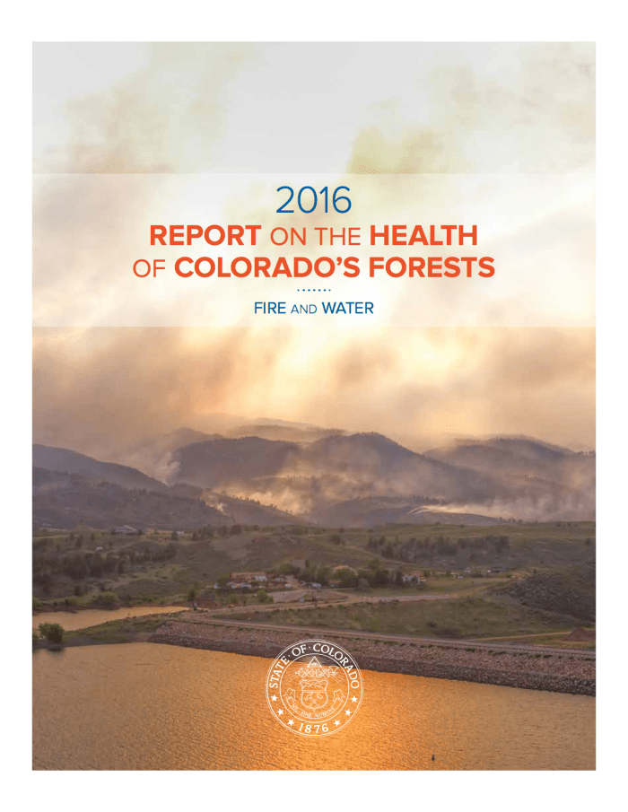 csu_304464_forestreport-2016-wwwcover