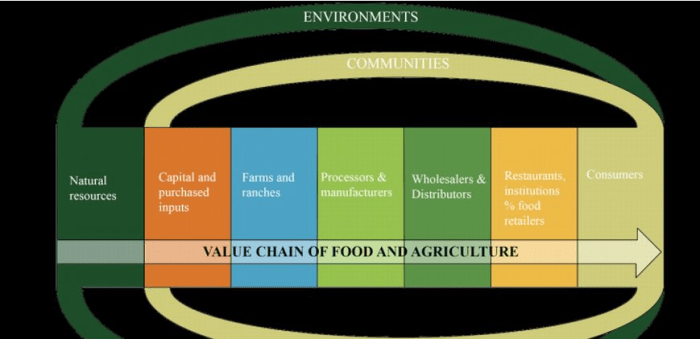 foodagriculturevaluechaincsu022017