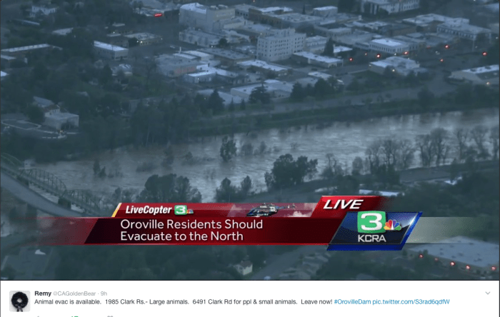 screen-shot-2017-02-13-at-5-35-07-am