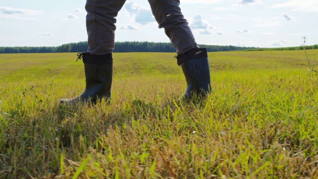 Farmers Are Using Cover Crops To Conserve Water And Improve Soil Health