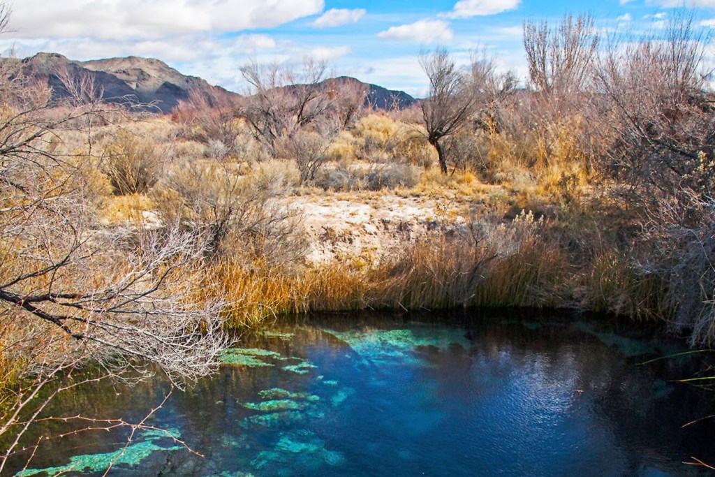A serene landscape featuring a clear pool of water surrounded by dry vegetation and distant mountains under a partly cloudy sky.